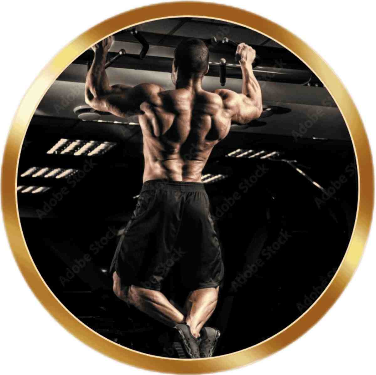 Fitness and Gym Promotional Videography Kolkata